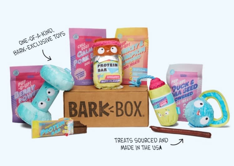 BarkBox Review Dog Food Party Box Subscriptions